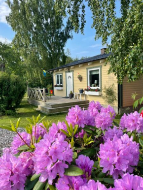 Nice child-friendly house 200m from beautiful beach, Farhult